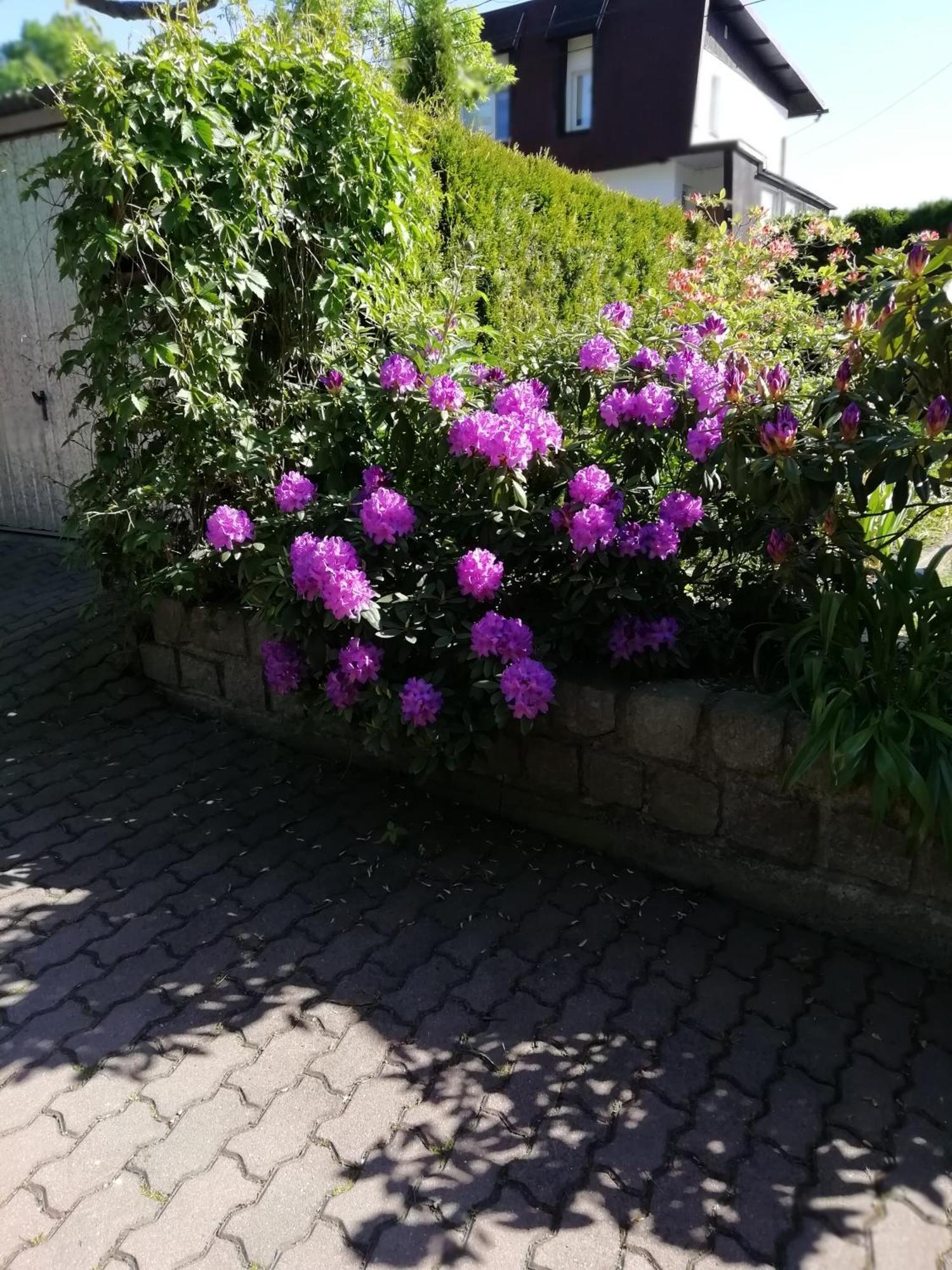 Apartament Wlodek Jelenia Góra Екстериор снимка