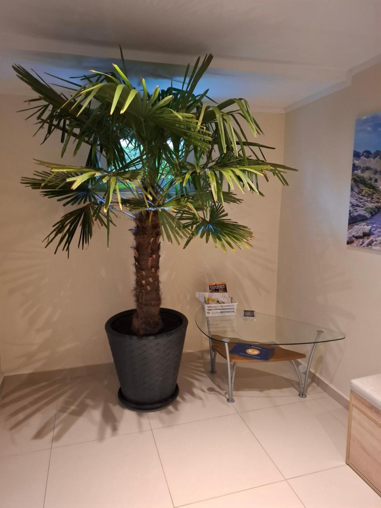 Apartament Wlodek Jelenia Góra Екстериор снимка