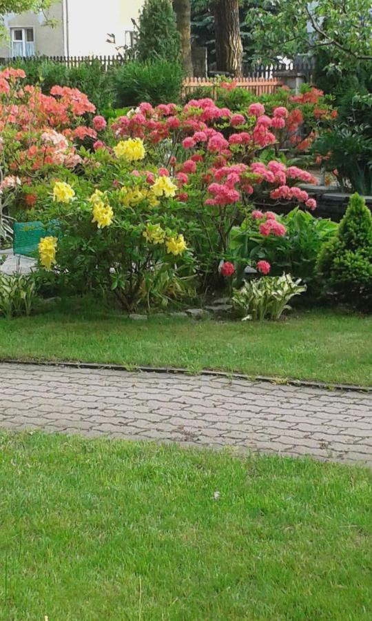 Apartament Wlodek Jelenia Góra Екстериор снимка